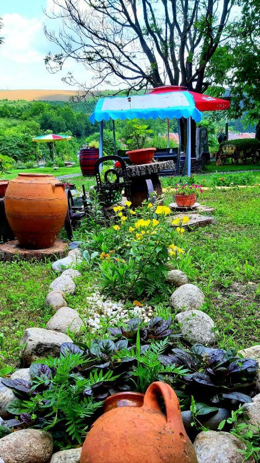 Guest House Kosharite Byala  Экстерьер фото